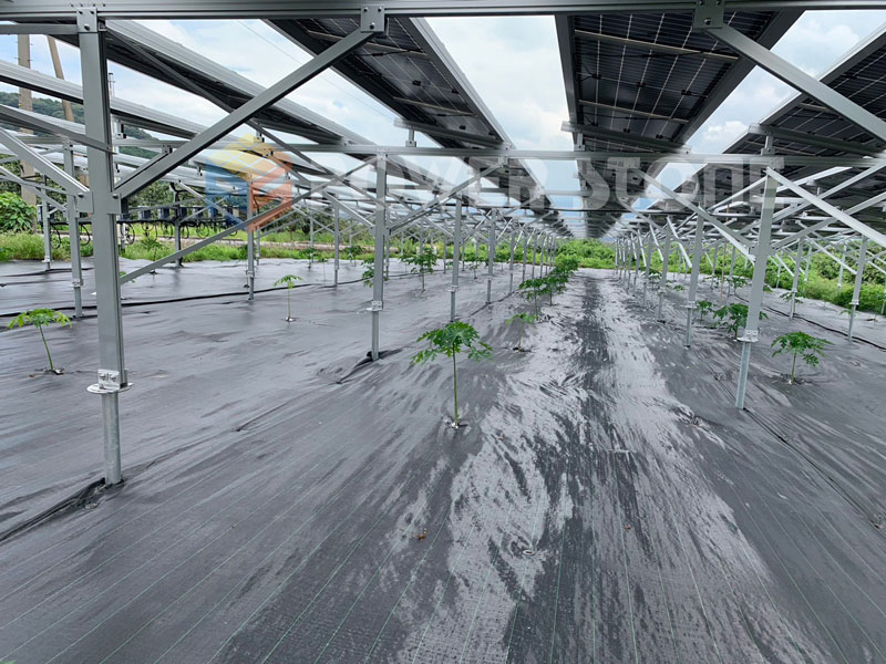 solar farm ground pv solar farm ground pv